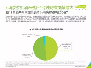 2019年中國企業(yè)采購電商市場深度解析 機(jī)遇、挑戰(zhàn)與未來趨勢
