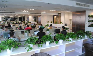 在溫暖的團(tuán)隊中砥礪前行 如何看待‘零年終獎’與職業(yè)發(fā)展
